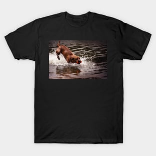 Rhodesian Ridgeback T-Shirt